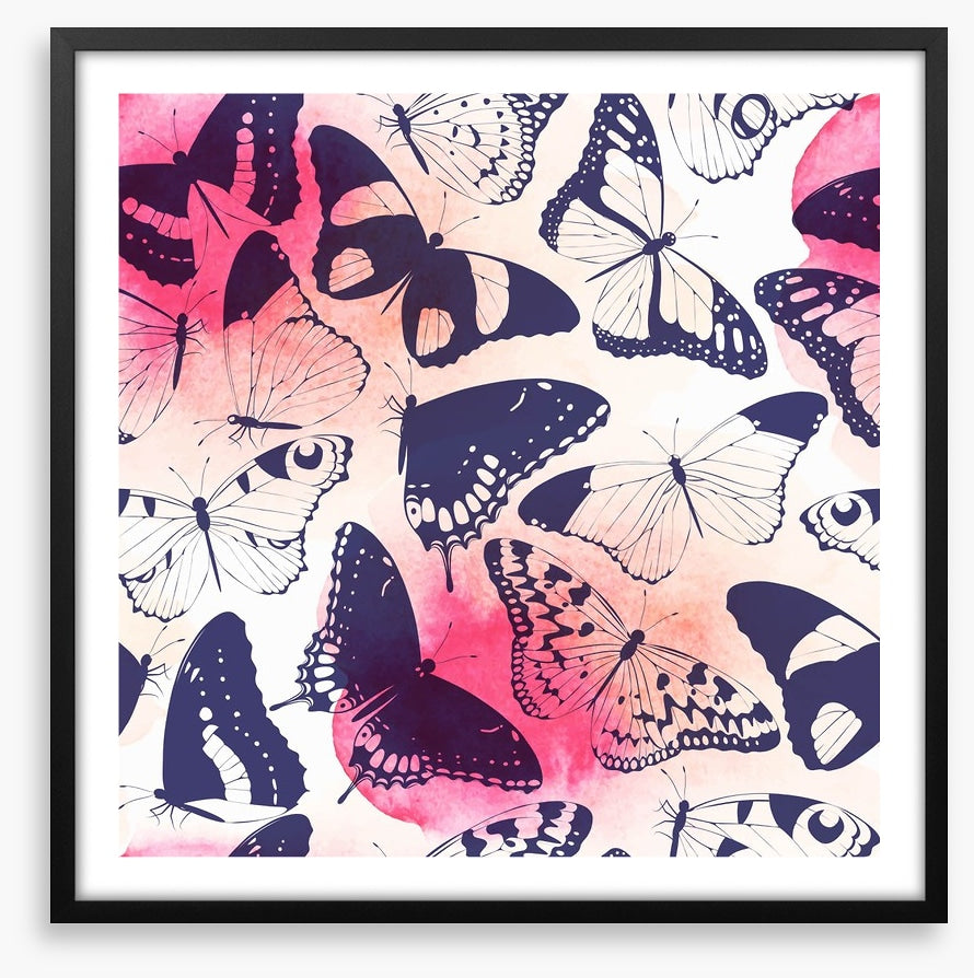 Butterflies