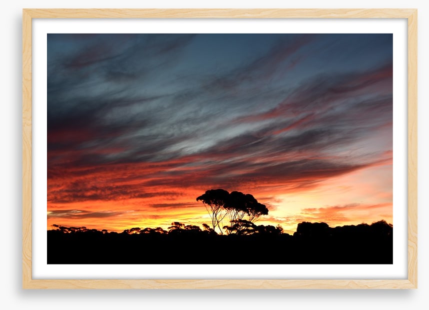 Sunset over the Australian bush