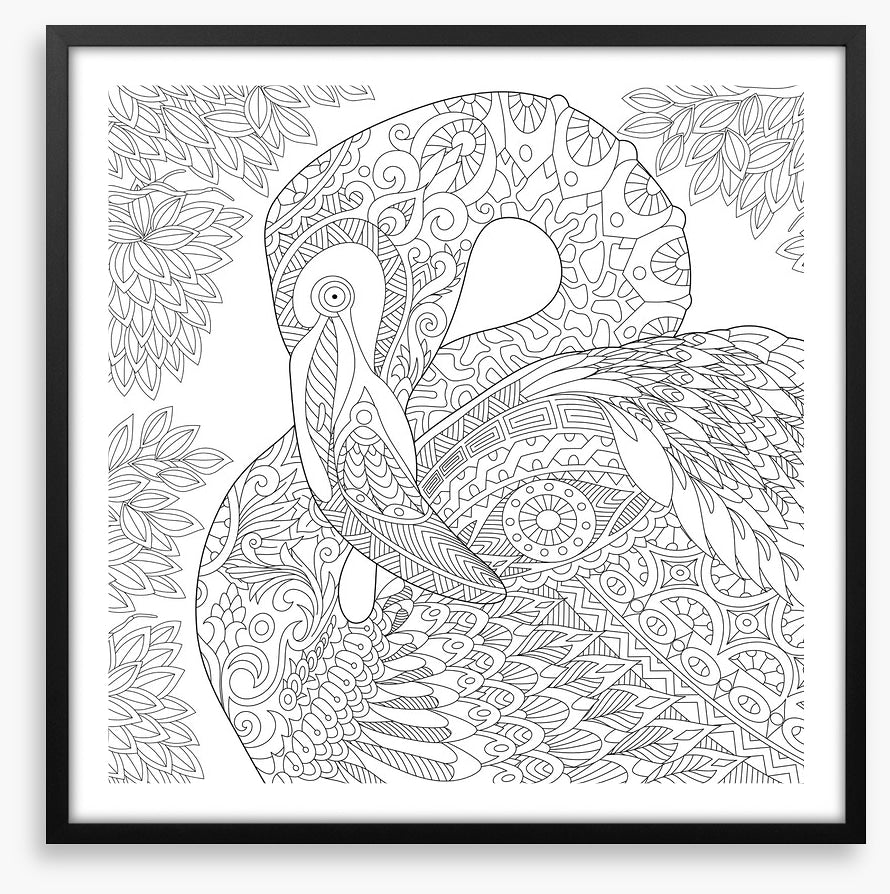 Colour me flamingo