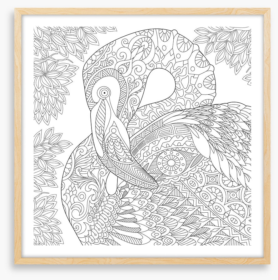 Colour me flamingo