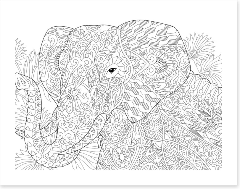 Colour me elephant