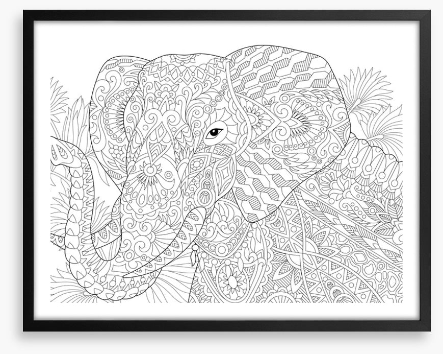 Colour me elephant