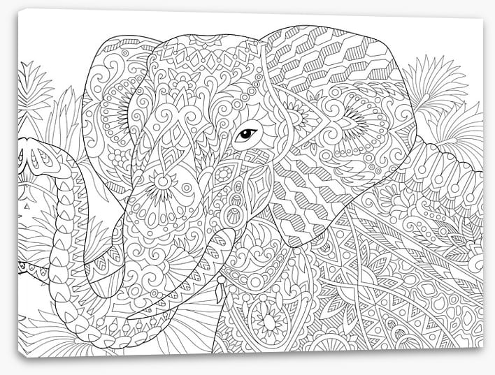 Colour me elephant