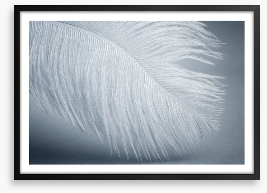 Feather soft