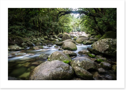 Deep in Mossman Gorge