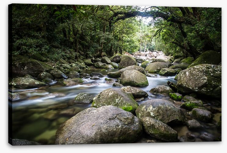 Deep in Mossman Gorge