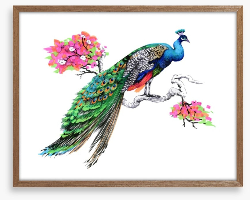 Peacock perch