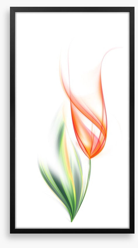 One orange tulip