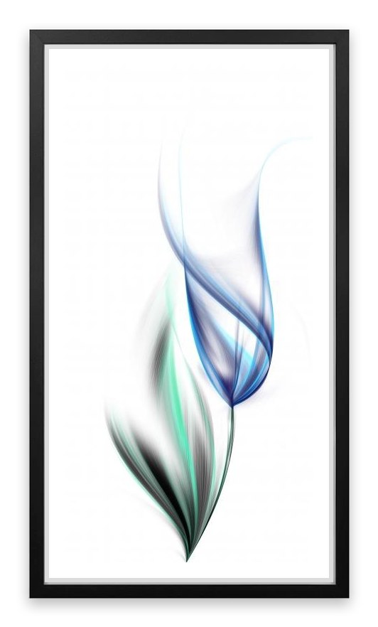 One blue tulip