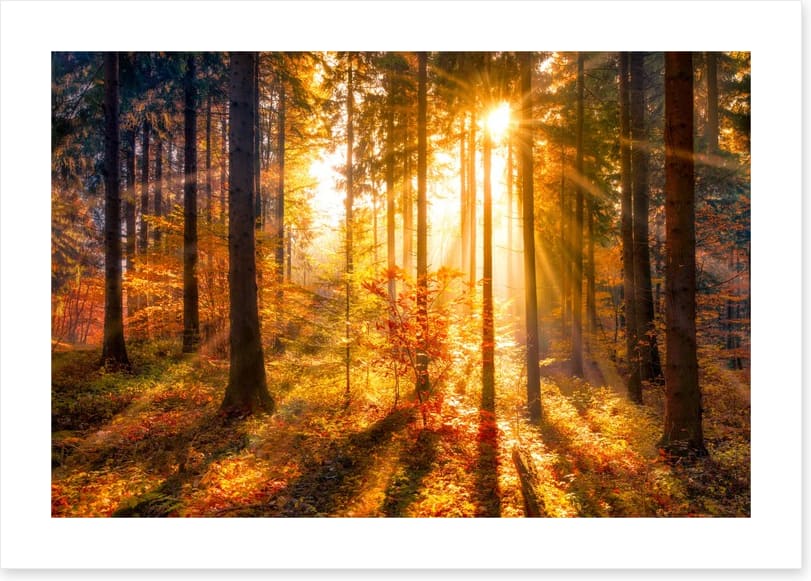 Sunbeam and shadows