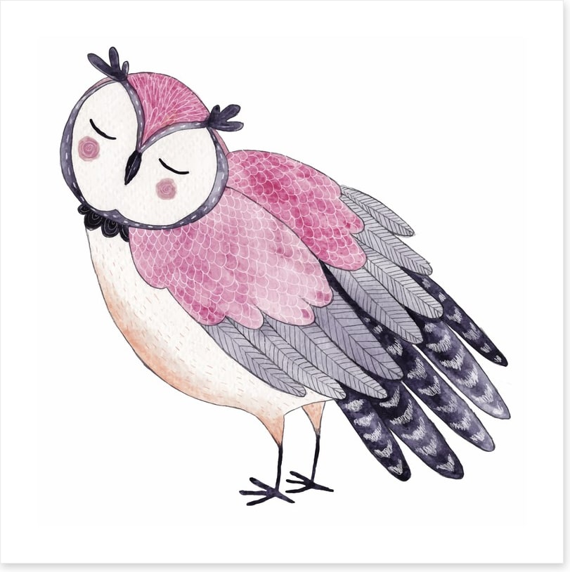 Owls