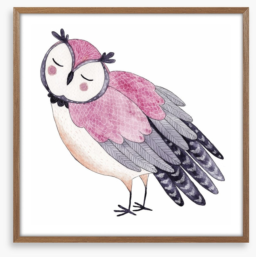 Owls