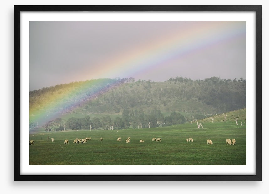 Tasmania