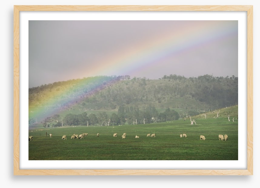 Tasmania