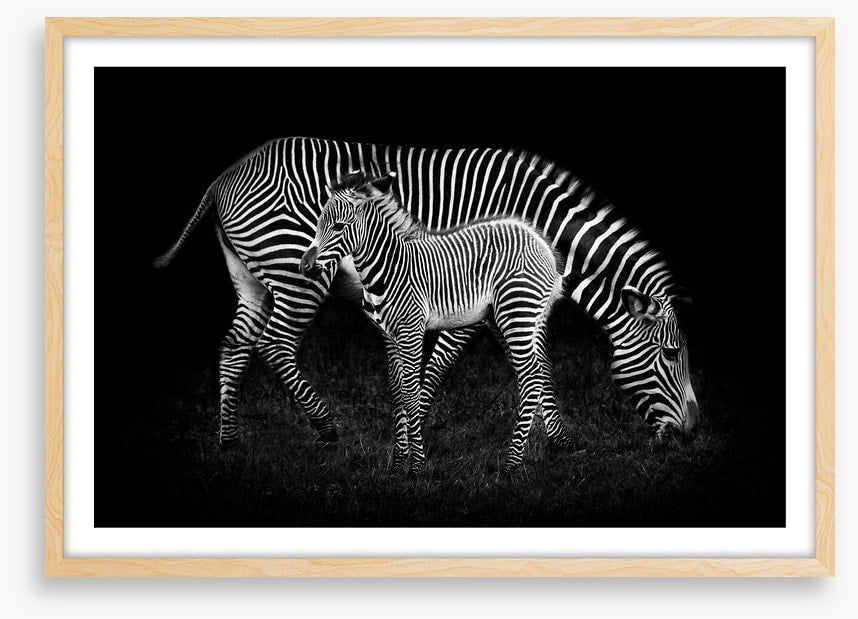 Earning your stripes
