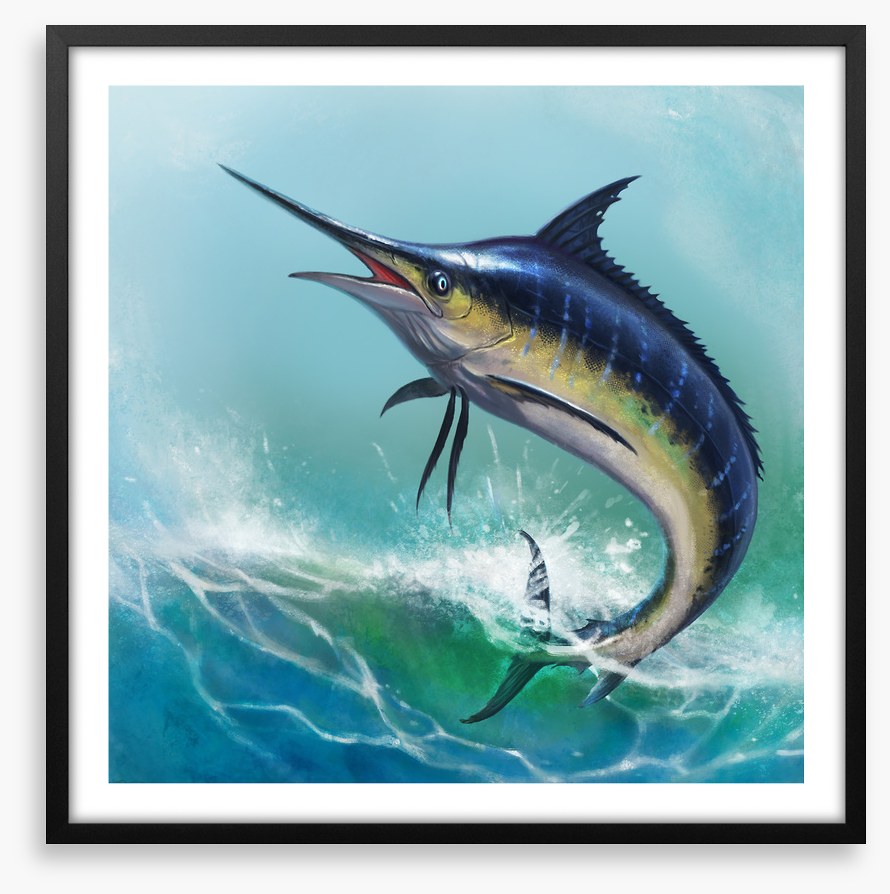 Blue marlin jump