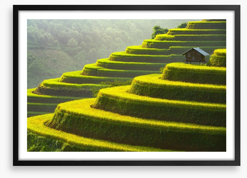 Mu Cang Chai rice terrace, Vietnam