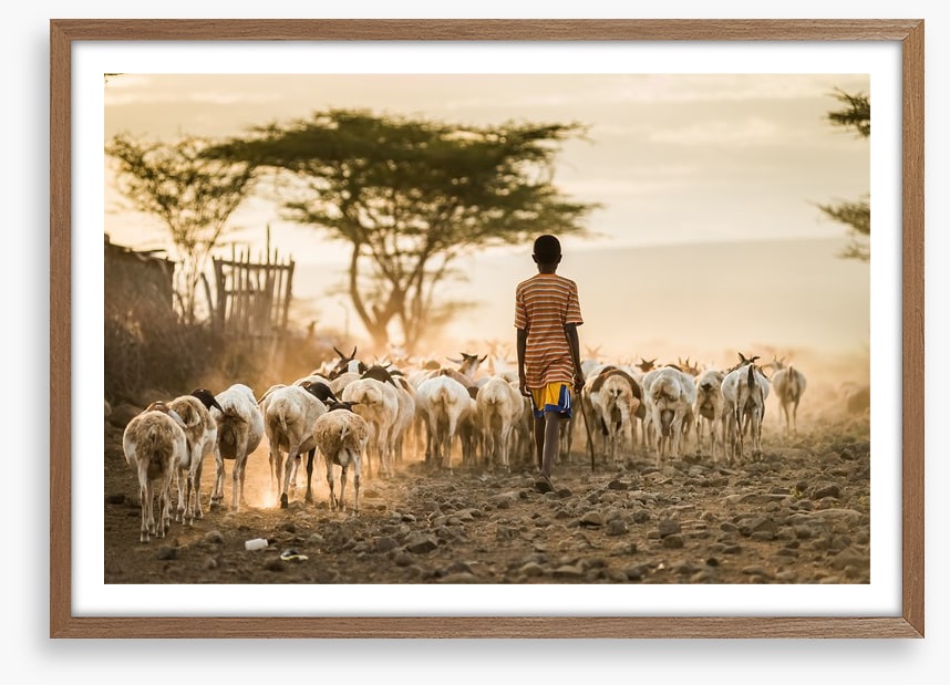 Hometime herd