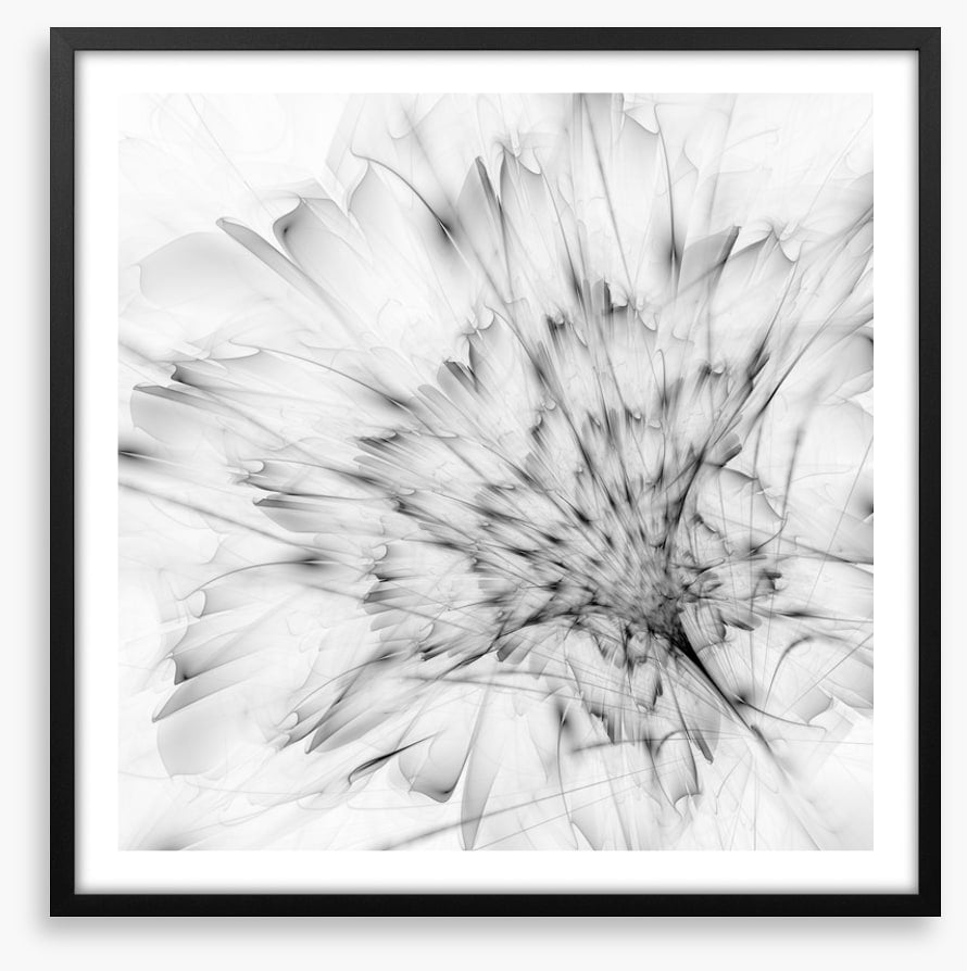 Monochrome bloom