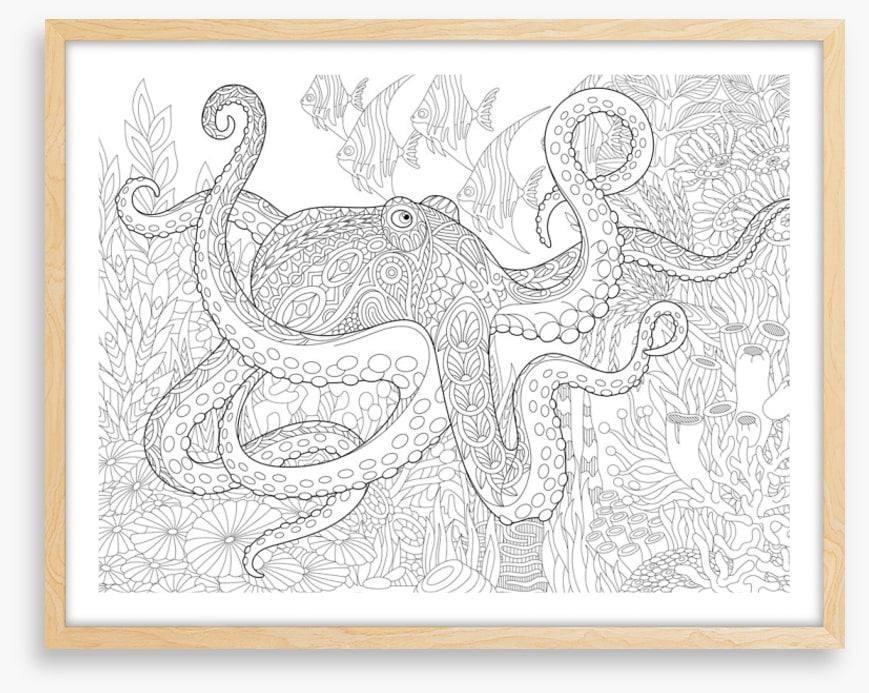 Colour me octopus