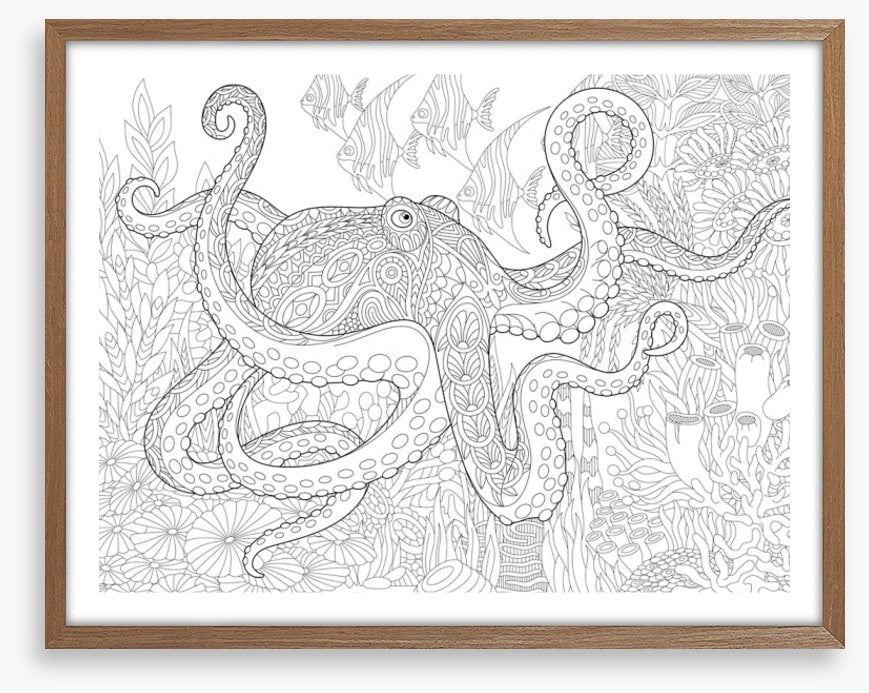 Colour me octopus
