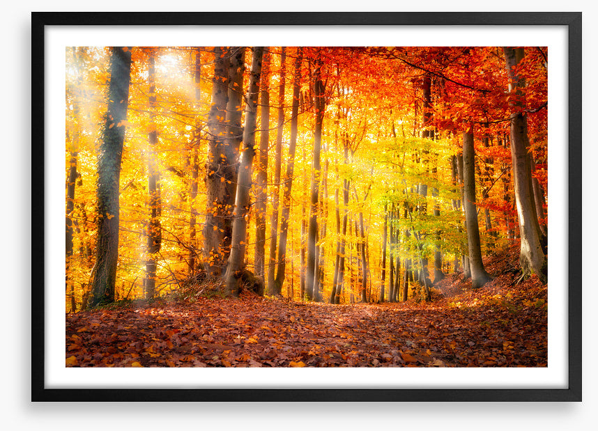 Seasonal gold
