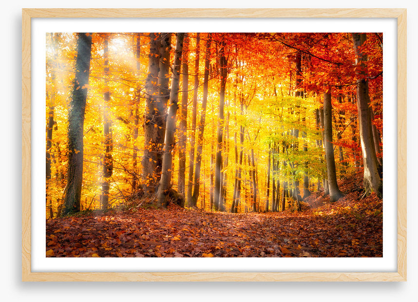 Seasonal gold