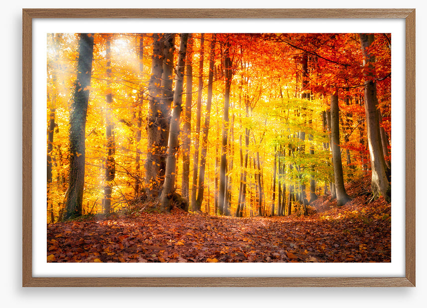 Seasonal gold