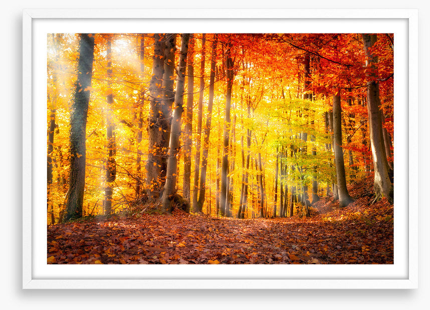 Seasonal gold