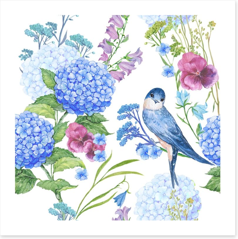 Blue bird hydrangeas
