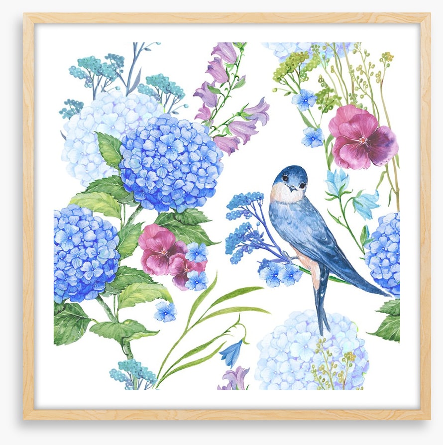 Blue bird hydrangeas