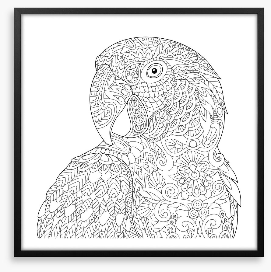 Colour me macaw