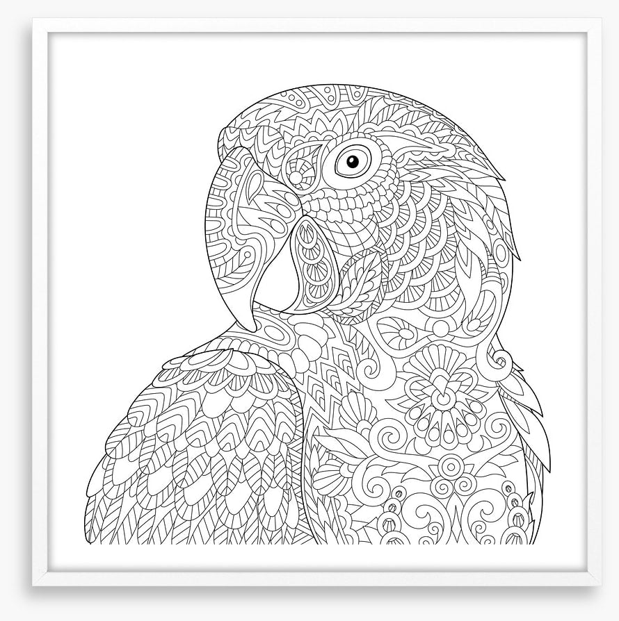 Colour me macaw
