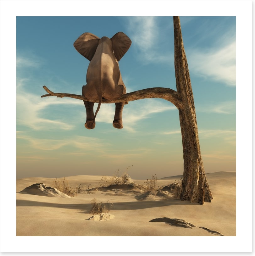 Waiting in the desert