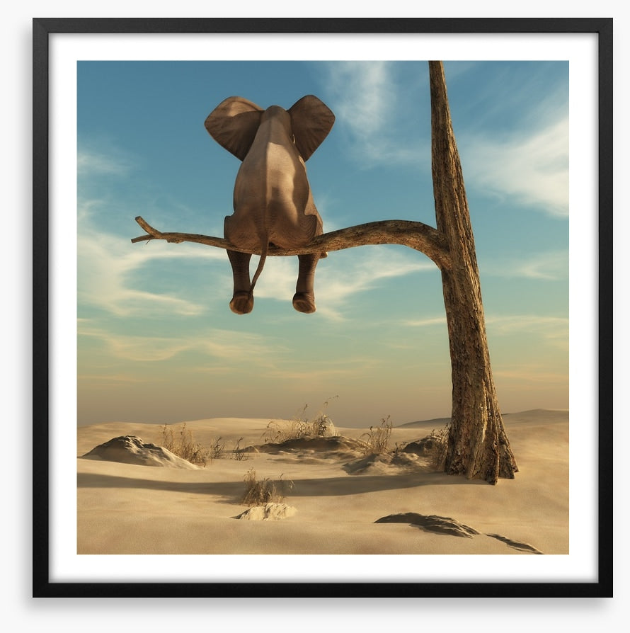 Waiting in the desert