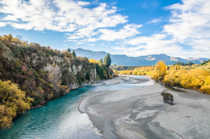 Autumn at Shotover River
