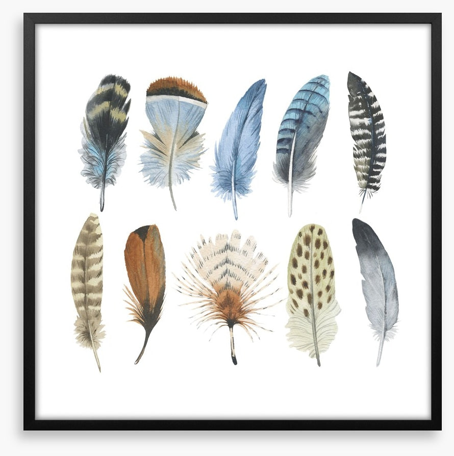 Feather me plumes