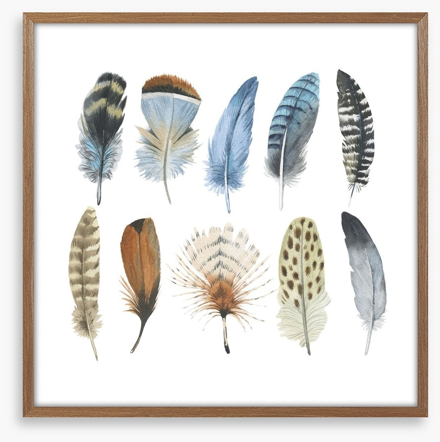 Feather me plumes