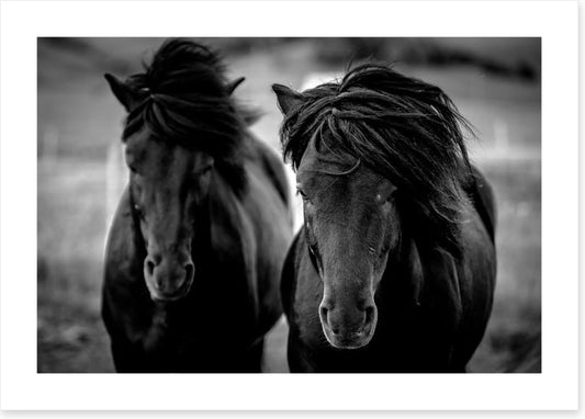 Wind through my hair