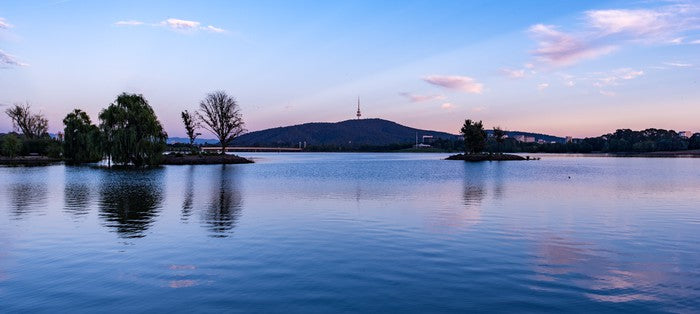 Burley Griffin blues