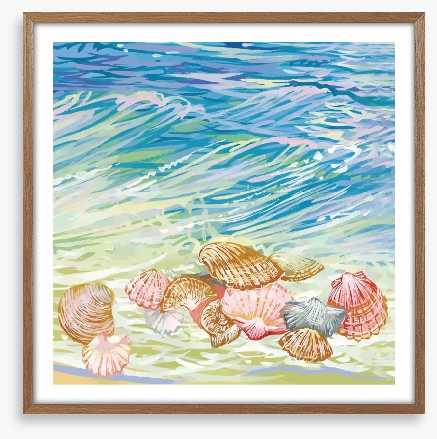 Seashore shells