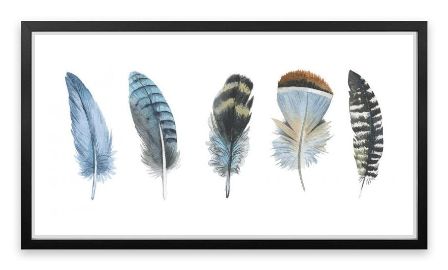 Feather me panorama