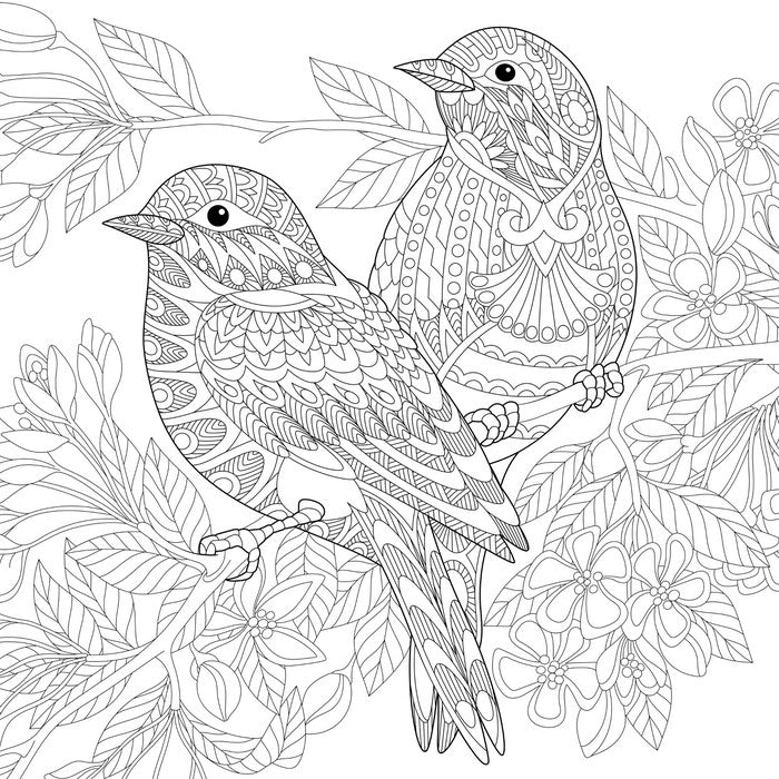 Colour me birds