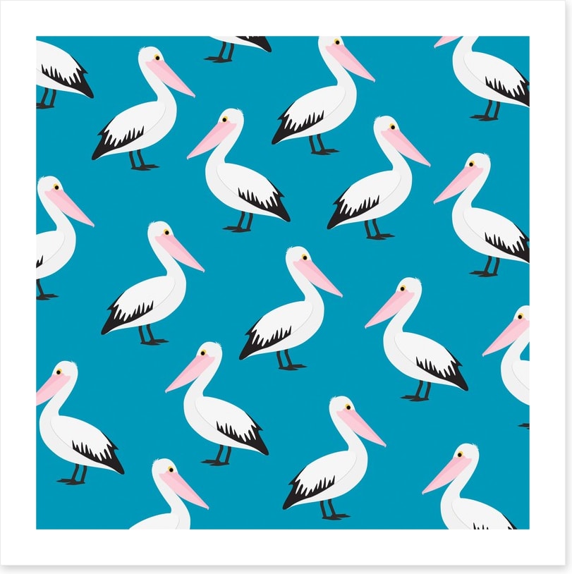 Pelican waters
