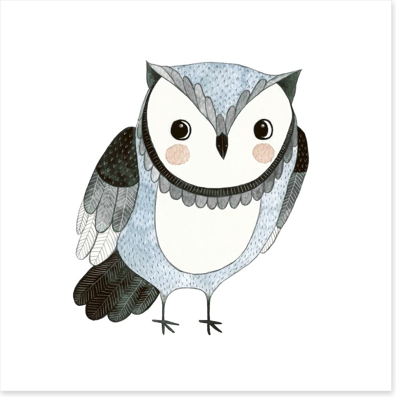 Owls