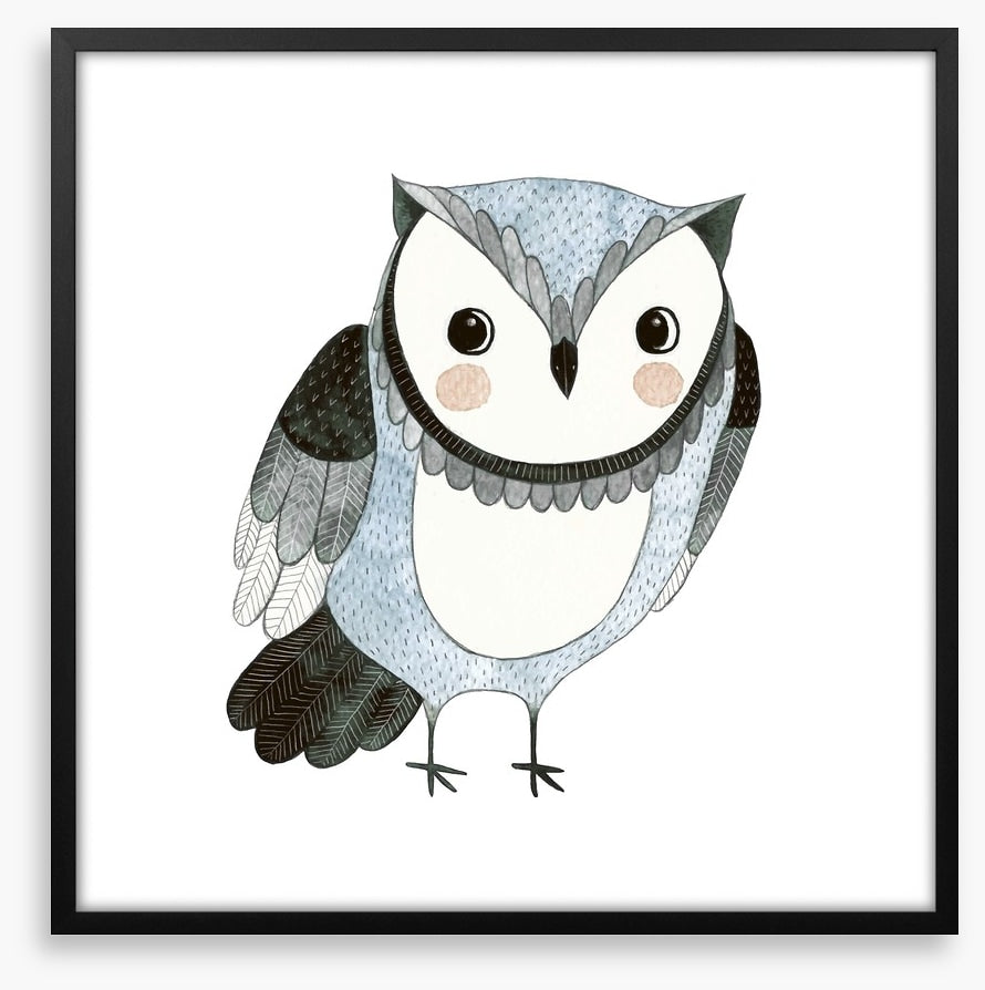 Owls