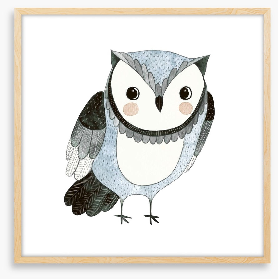 Owls