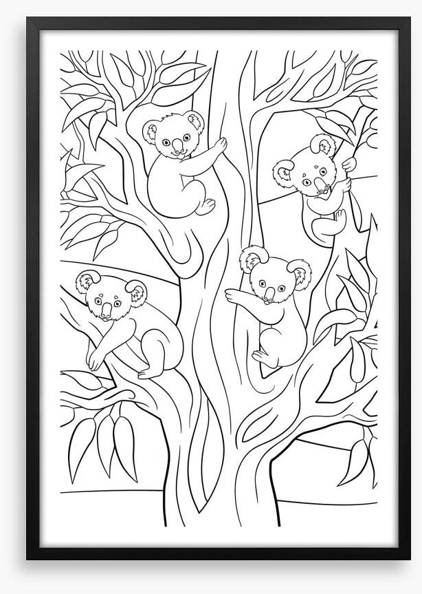 Colour me koalas