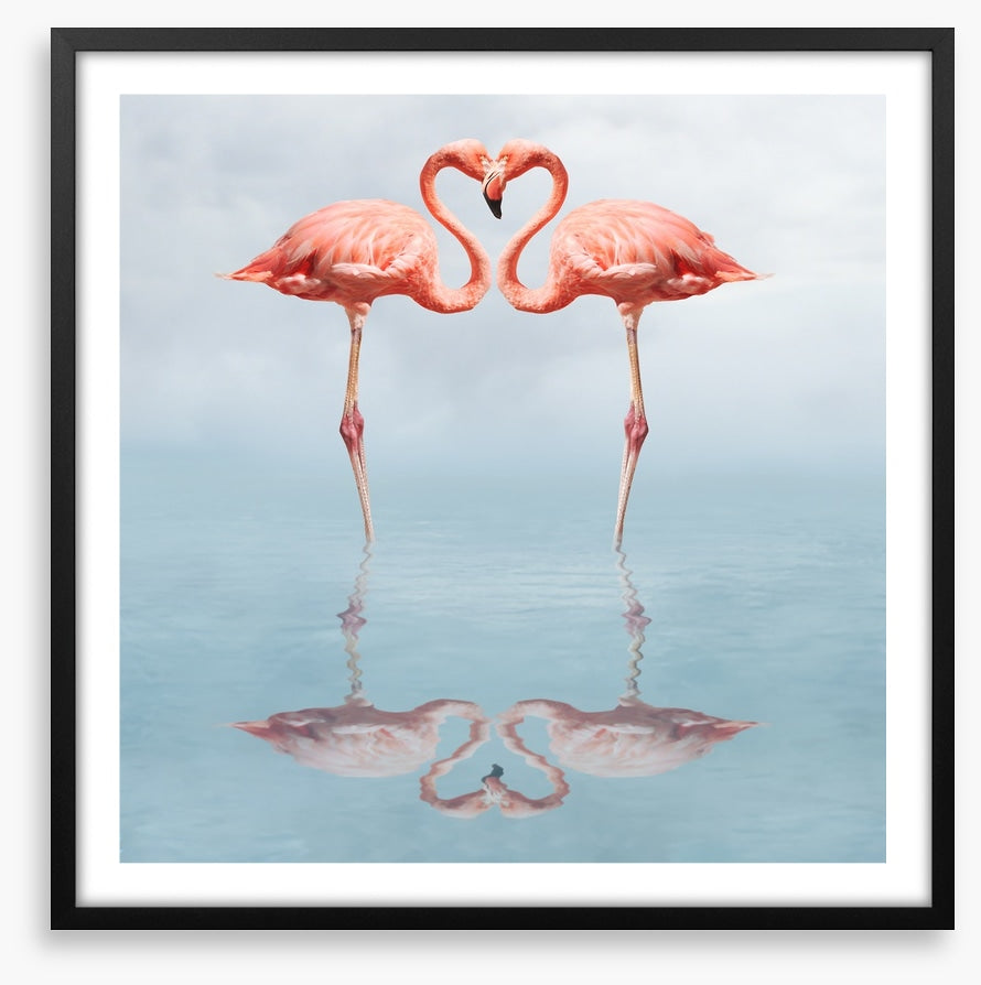 Lovebirds