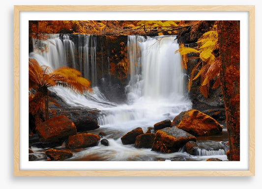 Horseshoe Falls in autumn